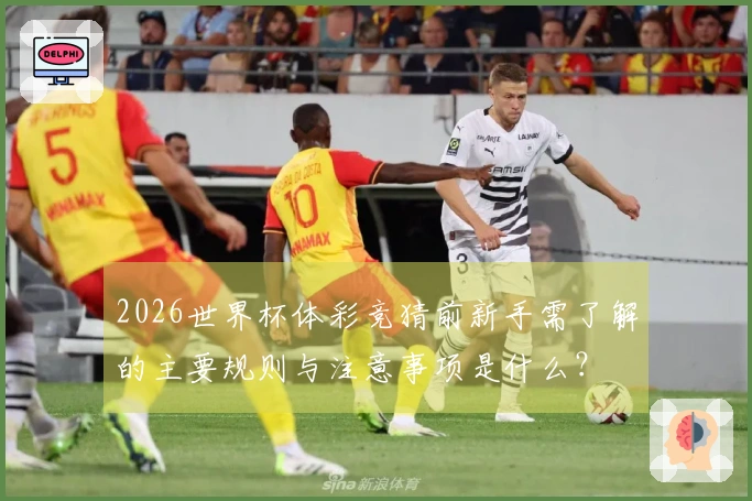 2026世界杯体彩竞猜前新手需了解的主要规则与注意事项是什么？