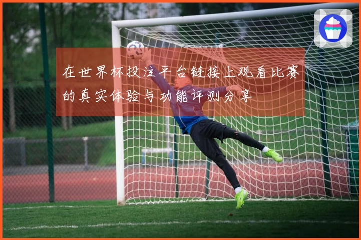 在世界杯投注平台链接上观看比赛的真实体验与功能评测分享