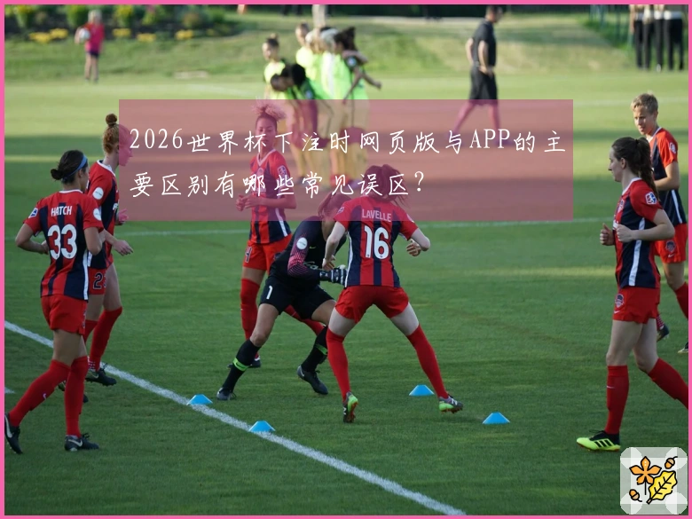 2026世界杯下注时网页版与APP的主要区别有哪些常见误区？