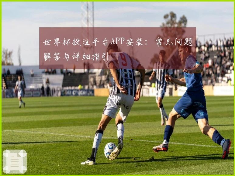 世界杯投注平台APP安装：常见问题解答与详细指引