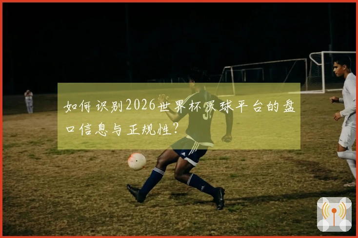 如何识别2026世界杯买球平台的盘口信息与正规性？