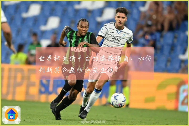 世界杯竞猜平台的选择指南,如何判断其公益性和安全性?