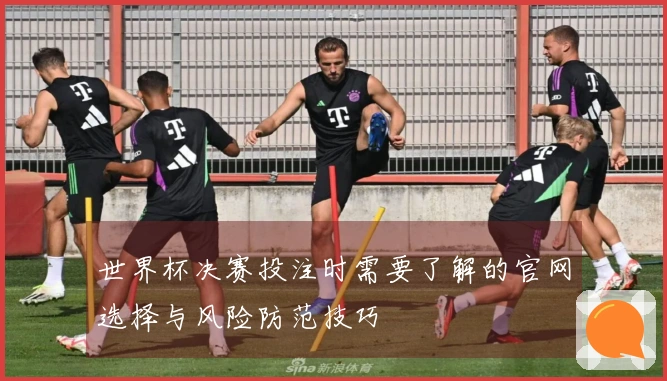 世界杯决赛投注时需要了解的官网选择与风险防范技巧