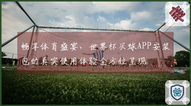 畅享体育盛宴，世界杯买球APP安装包的真实使用体验全方位呈现