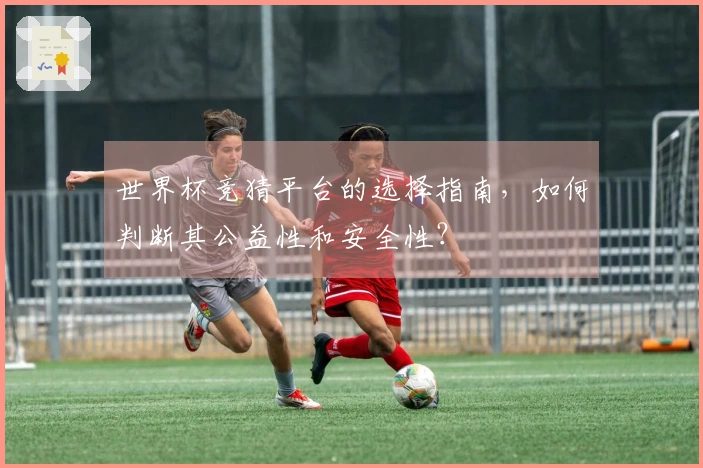 世界杯竞猜平台的选择指南，如何判断其公益性和安全性？