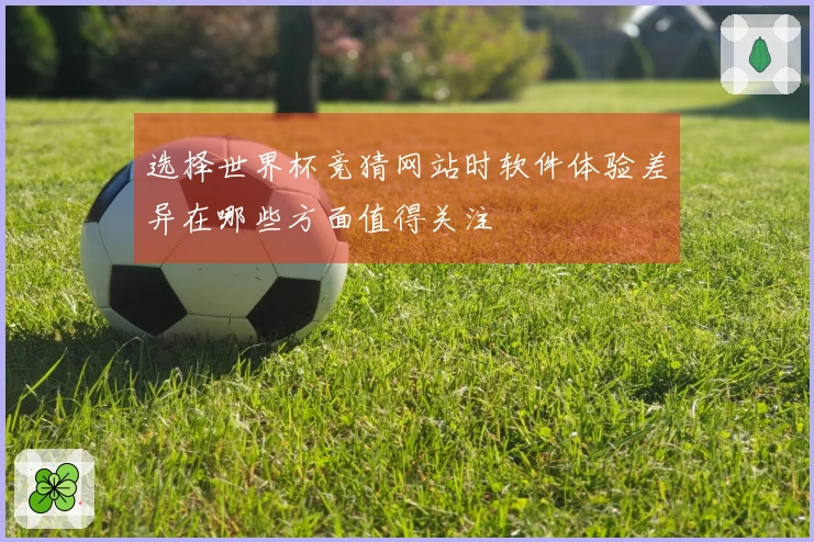 选择世界杯竞猜网站时软件体验差异在哪些方面值得关注