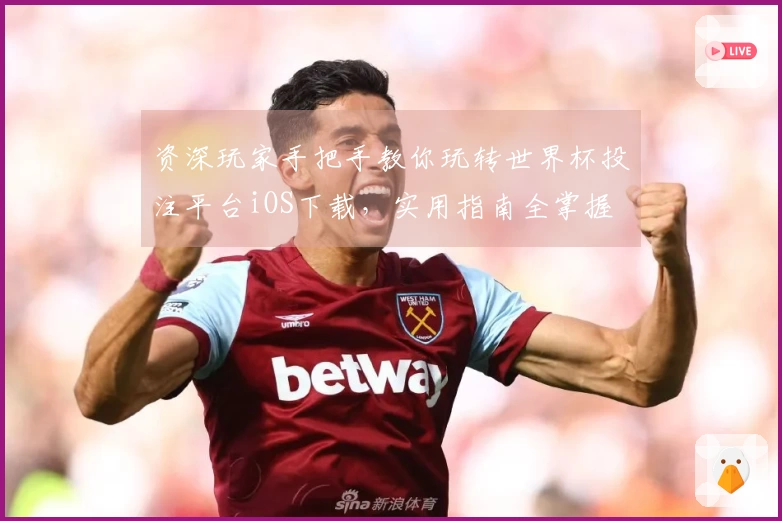 资深玩家手把手教你玩转世界杯投注平台iOS下载，实用指南全掌握