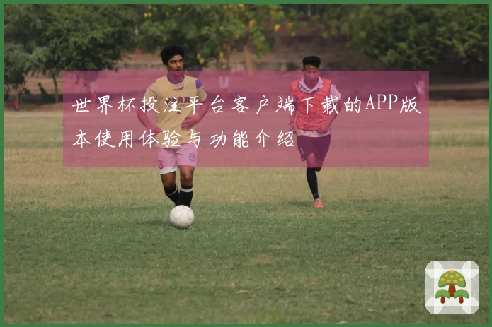 世界杯投注平台客户端下载的APP版本使用体验与功能介绍