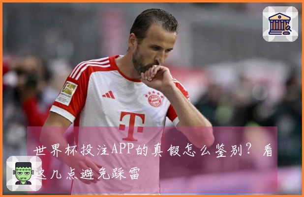世界杯投注APP的真假怎么鉴别？看这几点避免踩雷