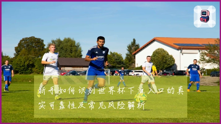 新手如何识别世界杯下注入口的真实可靠性及常见风险解析
