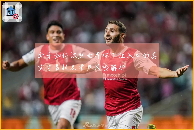 新手如何识别世界杯下注入口的真实可靠性及常见风险解析