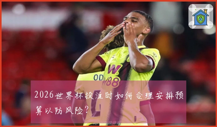2026世界杯投注时如何合理安排预算以防风险？