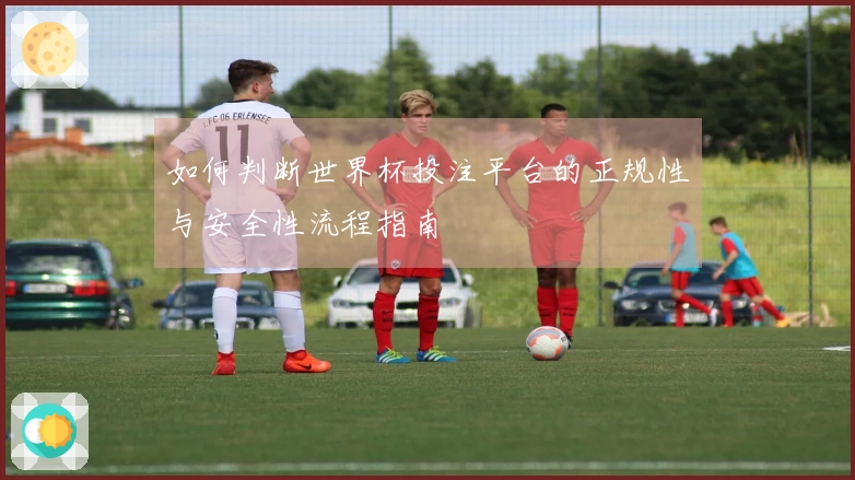 如何判断世界杯投注平台的正规性与安全性流程指南