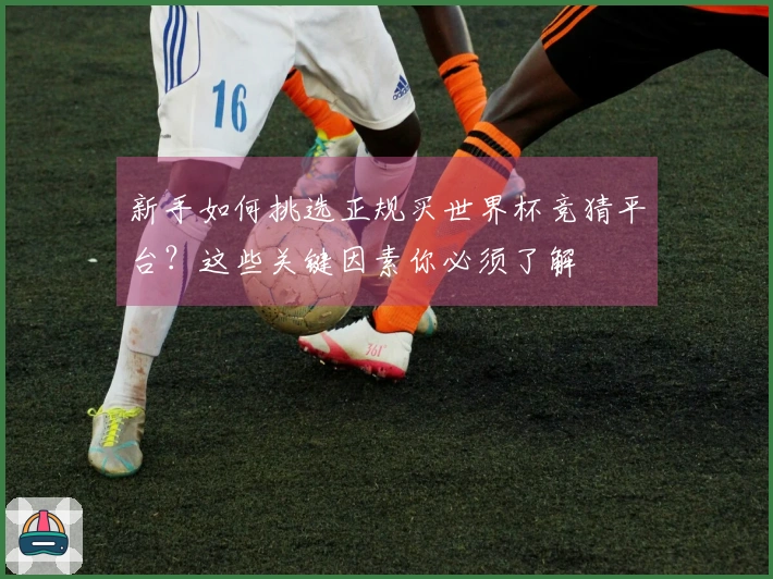 新手如何挑选正规买世界杯竞猜平台？这些关键因素你必须了解